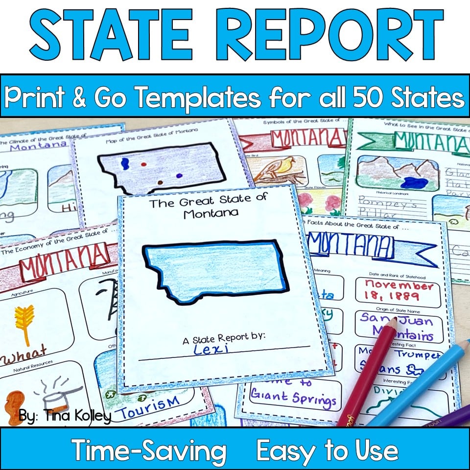 State Report Project